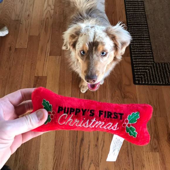 Meet your Posher, Kevin - Picture 1 of 1